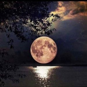 Meet your Posher, Rutherford